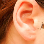 Triệu chứng thường gặp để nhận biết côn trùng chui vào tai