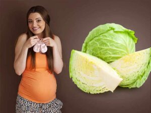 Bà bầu có nên ăn bắp cải không? Rau bắp cải có tác dụng gì đối với mẹ bầu