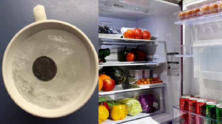 Tác dụng không ngờ của việc đồng xu trong tủ lạnh trước khi ra khỏi nhà bạn nên biết