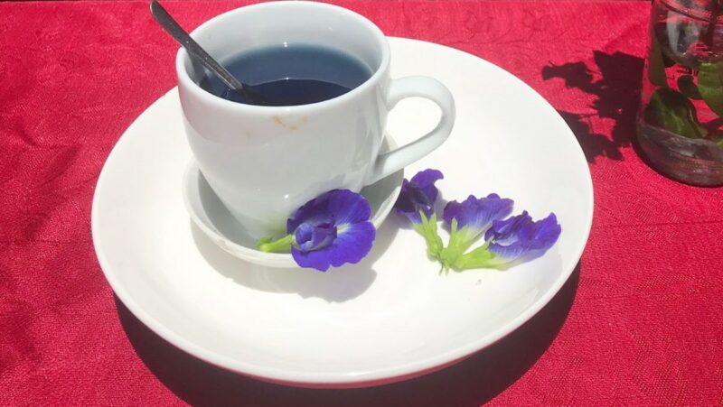 Cách pha trà hoa đậu biếc