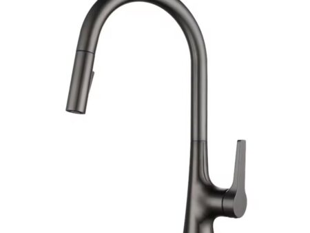 Vòi Rửa Bát Faster FS929G Cao Cấp - Inox 304, Nóng Lạnh, Dây Rút