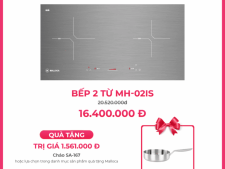 Bếp Từ MH-02IS Malloca (Ver. 2020) - Chính Hãng, Giá Tốt